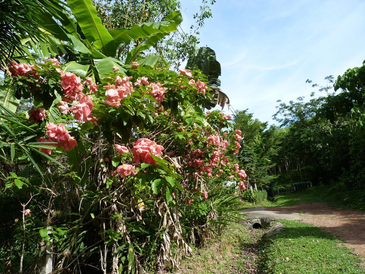 Seagull Villa Koh Lanta Ngoại thất bức ảnh