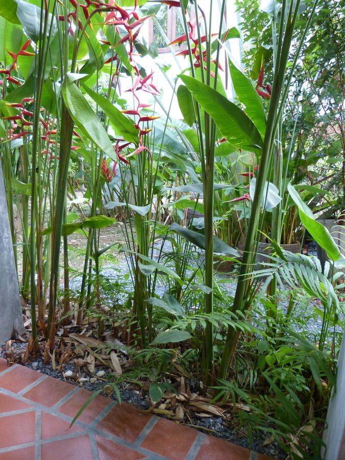 Seagull Villa Koh Lanta Ngoại thất bức ảnh